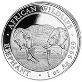 Silver Elephants